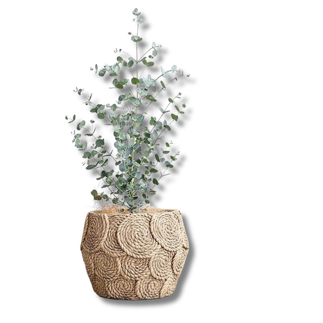 Handwoven Jute Planter Basket – Natural Rope Plant Pot Cover for Home Decor